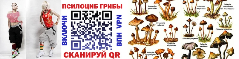 блэк спрут ссылки  Бугульма  Галлюциногенные грибы прущие грибы  купить  